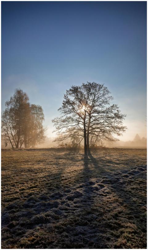 Free stock photo of atmospheric, environment, fiel