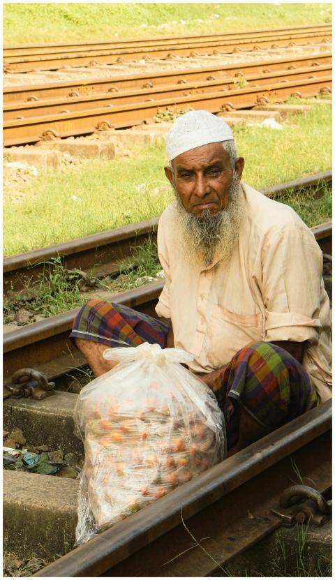 Free stock photo of active people, adorable child,
