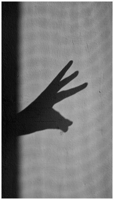 Shadow Art Hand Forming