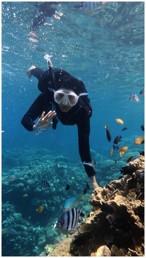 Diver explores vibrant coral reef in Jawa Tengah,