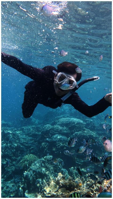 Discover the vibrant underwater life while snorkel