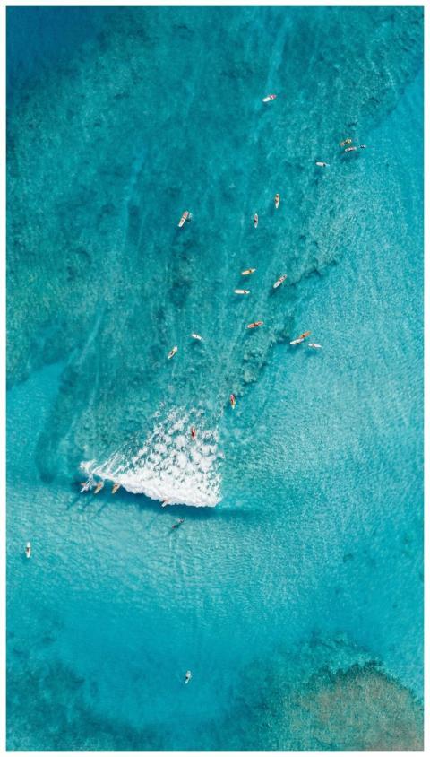 Stunning aerial shot of surfers riding turquoise w