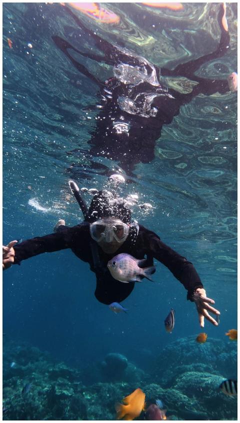 Person snorkeling in clear waters of Jawa Tengah,