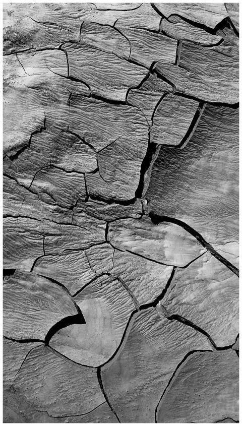 A detailed black and white close-up of cracked, dr