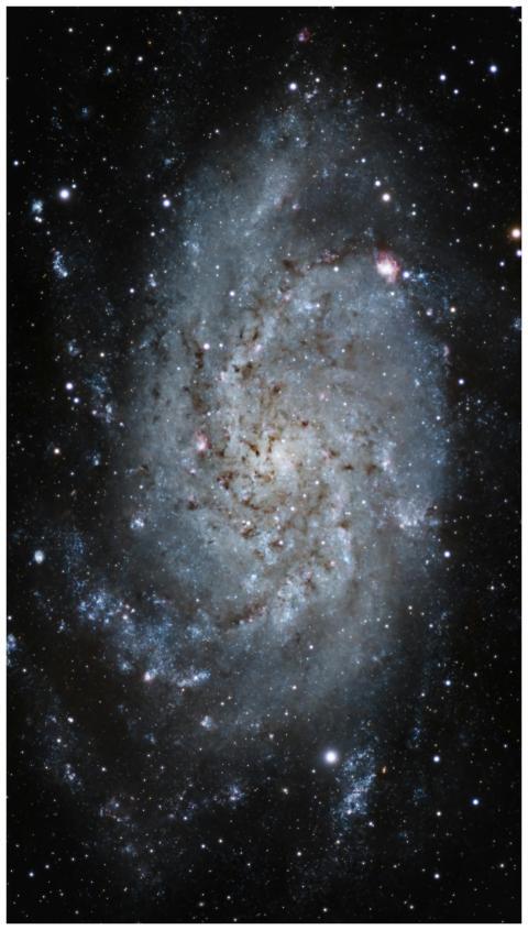 Explore the mesmerizing spiral galaxy filled with