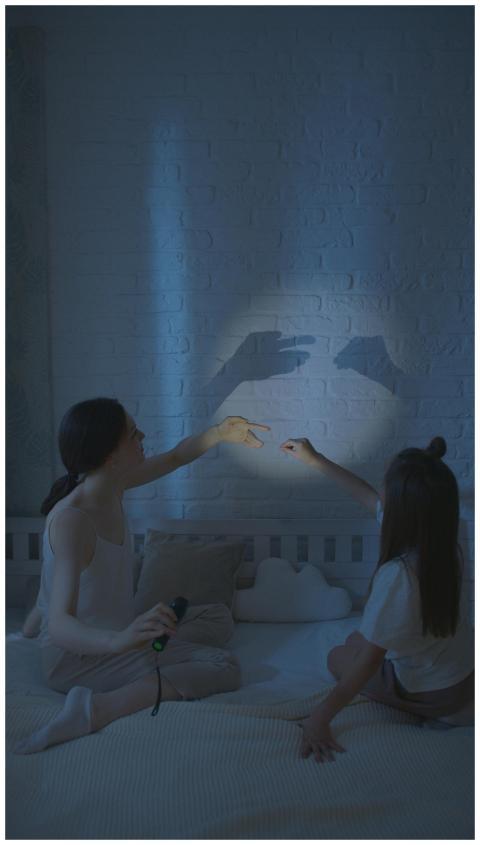 A mother and daughter create shadow puppets on a b