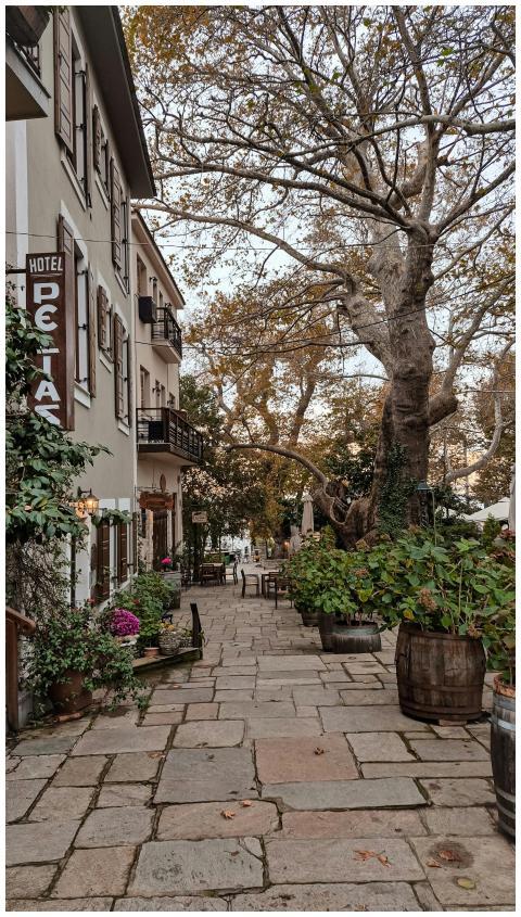 Charming Alleyway Rustic Hotel