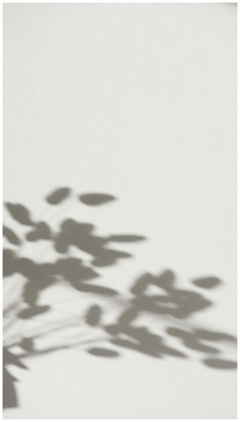 Delicate shadows of leaves cast on a light backgro