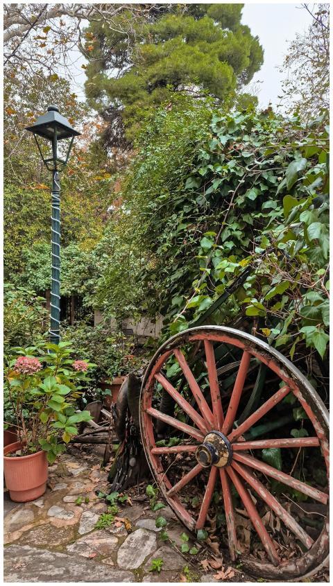 Vintage Wagon Wheel Lush