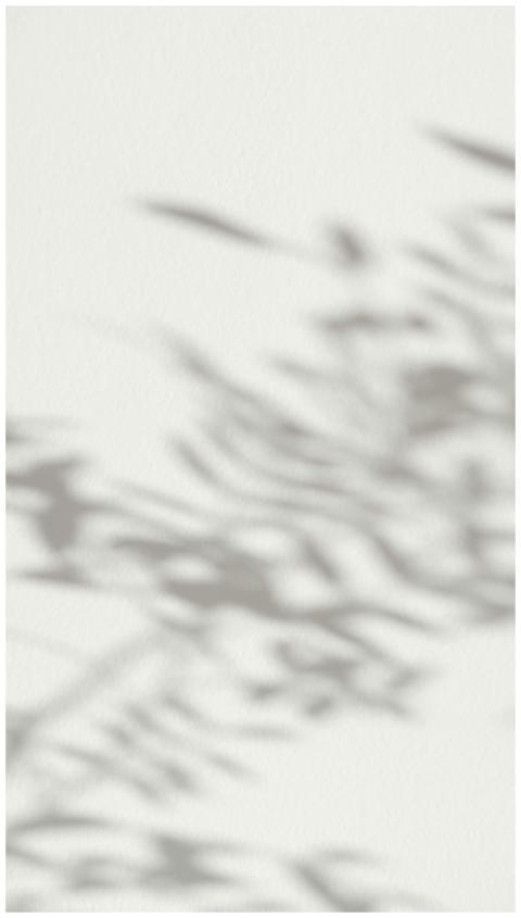 Soft focus of plant shadows creating an abstract p