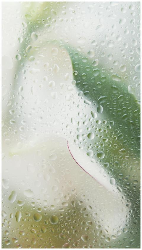 A window covered with dewdrops, softly blurring th