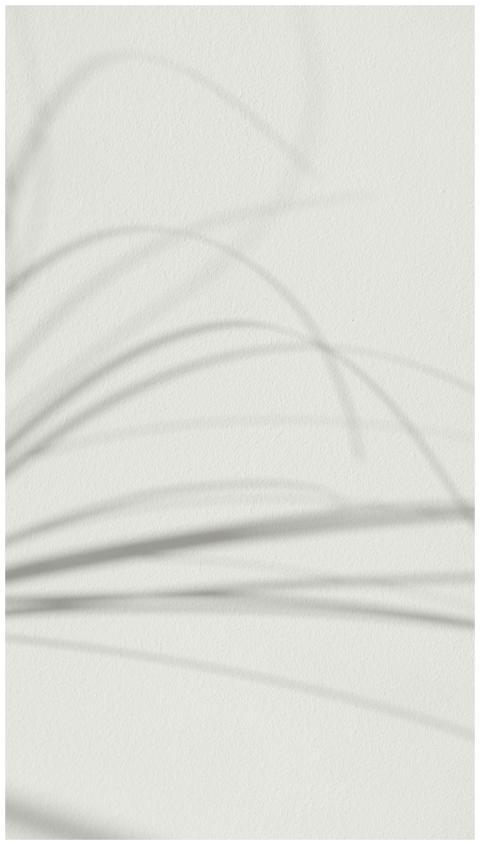 A soft focused abstract of plant shadows on a ligh