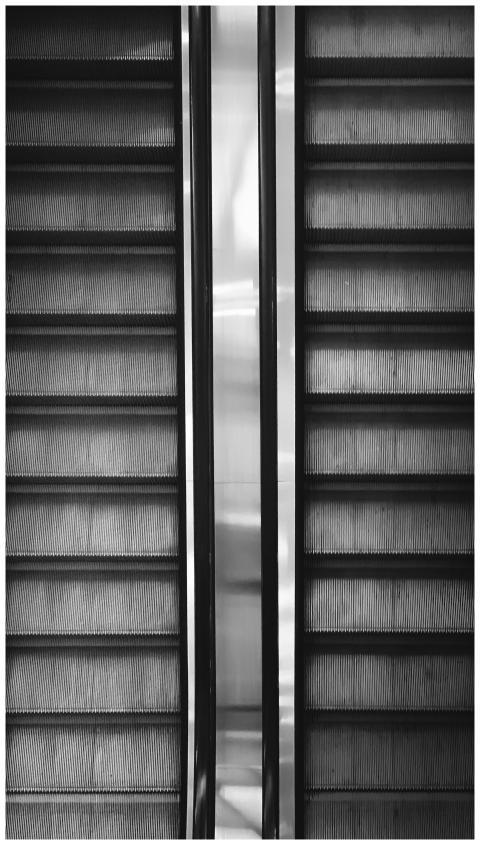 Artistic black and white photo capturing the symme