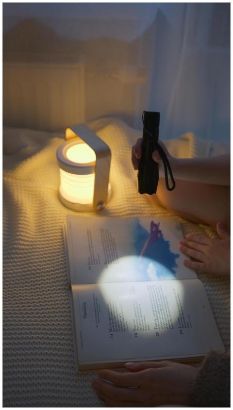 Child reading a book in bed by flashlight and lant