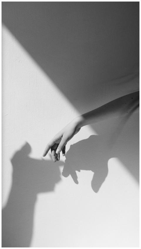 Monochrome photo showcasing artistic hand shadows