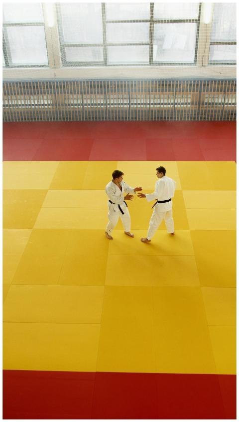 Two martial artists practicing techniques in a doj