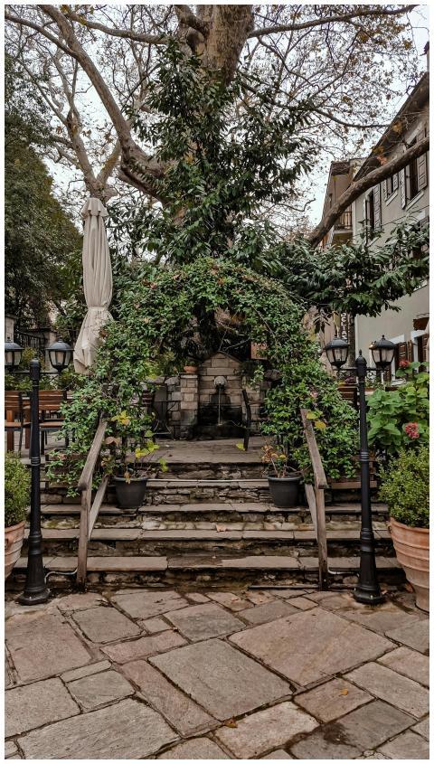 Rustic courtyard featuring stone stairs, lush arbo