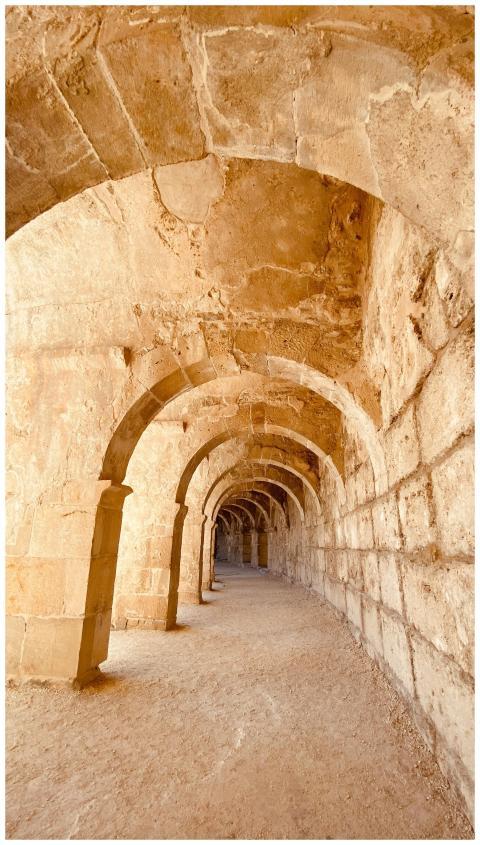 Explore the mesmerizing perspective of an ancient