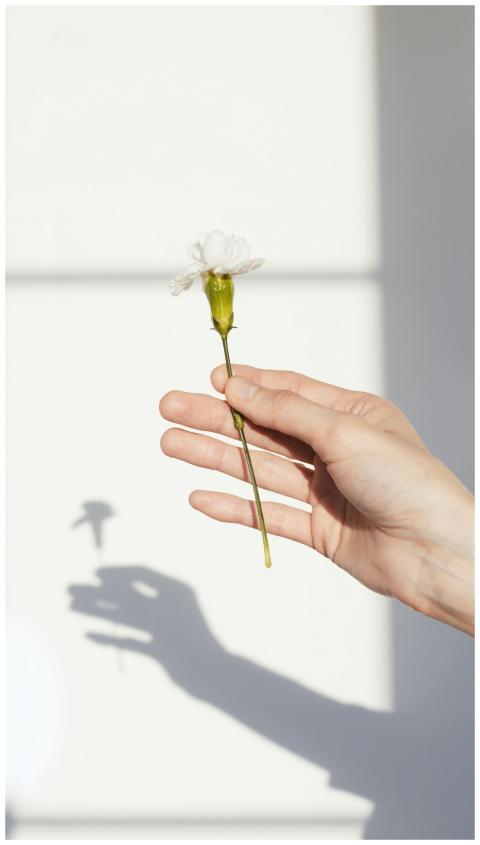 A close-up of a hand holding a white flower with i