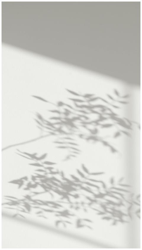 Intriguing shadow patterns cast by leaves on a whi