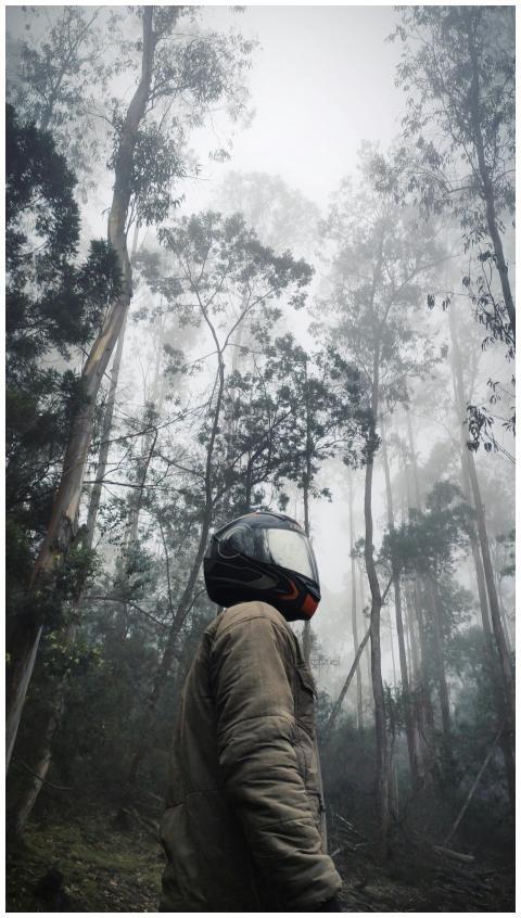 A lone adventurer wearing a helmet stands in a mis