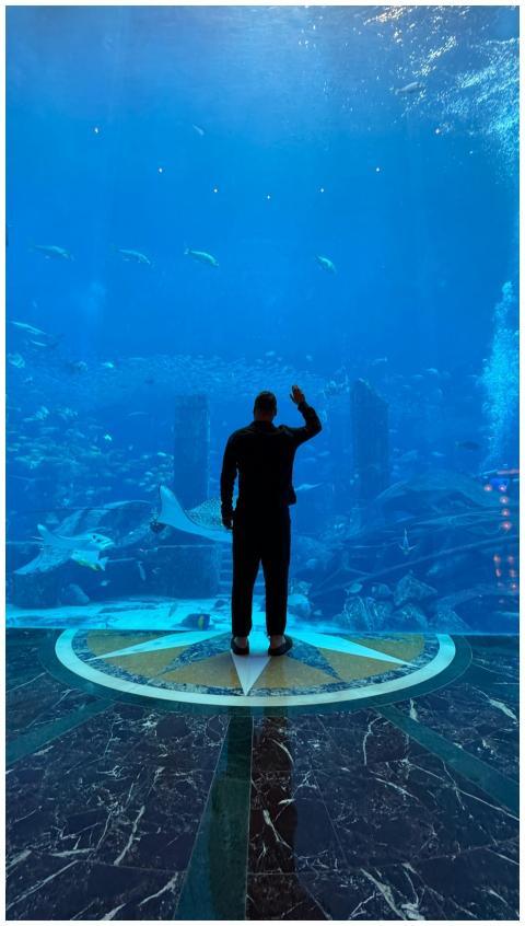 Person viewing marine life through large aquarium