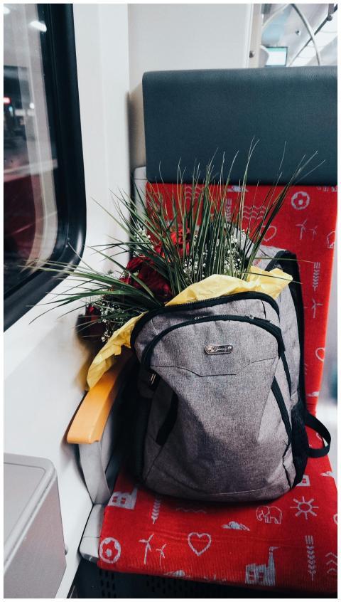 A grey backpack containing flowers on a red train