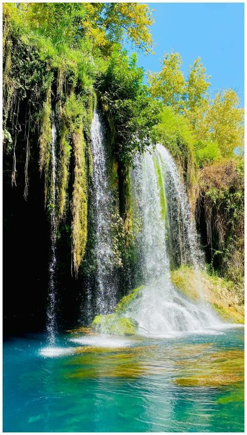 A beautiful waterfall cascading over vibrant green
