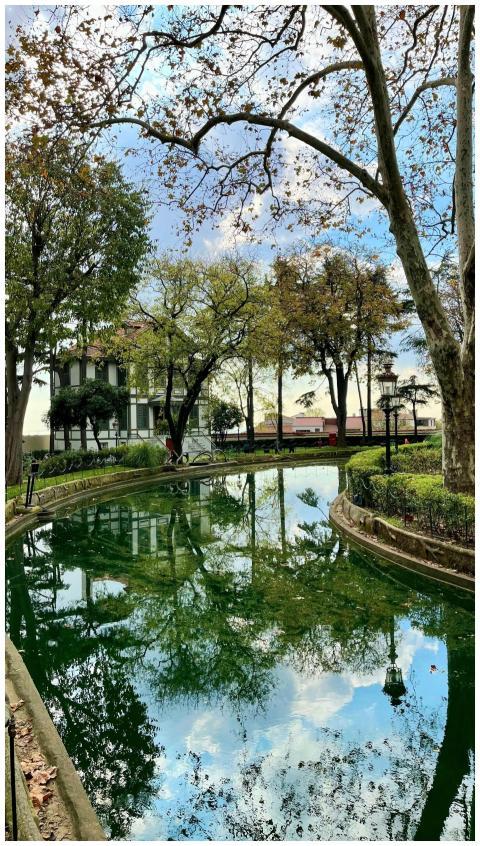 Tranquil park scene with a reflective pond and lus