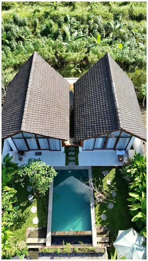 Stunning aerial shot of Balinese villas with pool