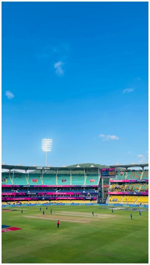 A lively cricket match in progress at an outdoor s
