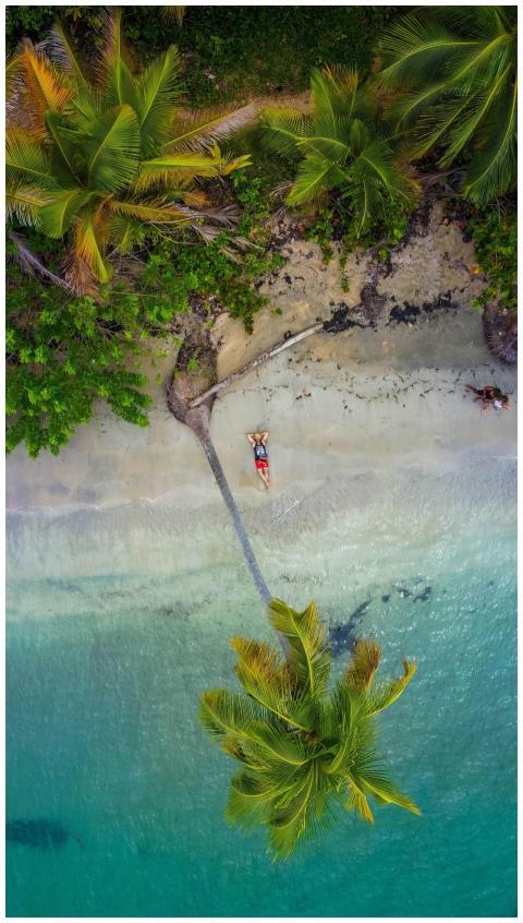 A top-down tropical beach view highlights a man re