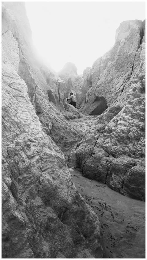 Explore the dramatic cliffs and serene trails of C