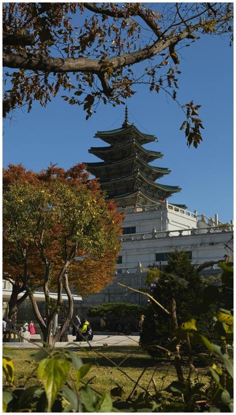 Free stock photo of seoul