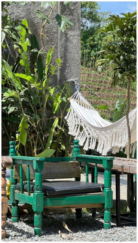 Serene Backyard Green Chair