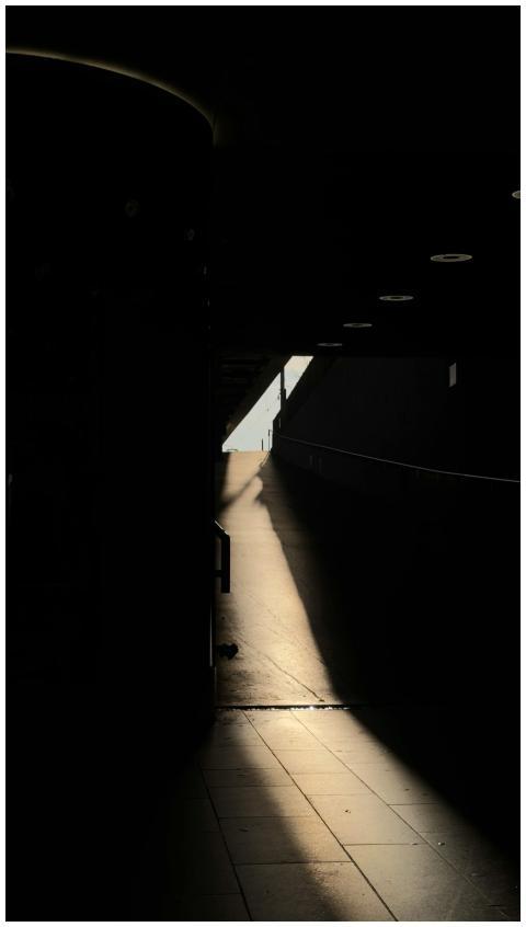 Dramatic Hallway Natural Light