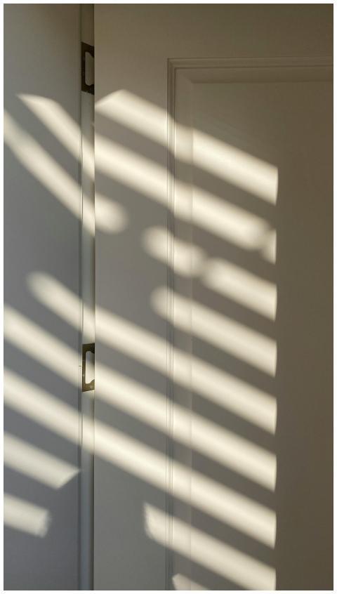 Dramatic shadows cast on a white door by sunlight