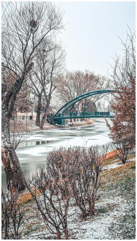 A serene snowy winter scene in Eskişehir park with