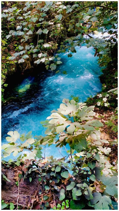 A vibrant turquoise stream flows through lush gree