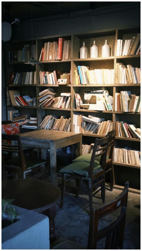 Cozy Vintage Library Bookshelves