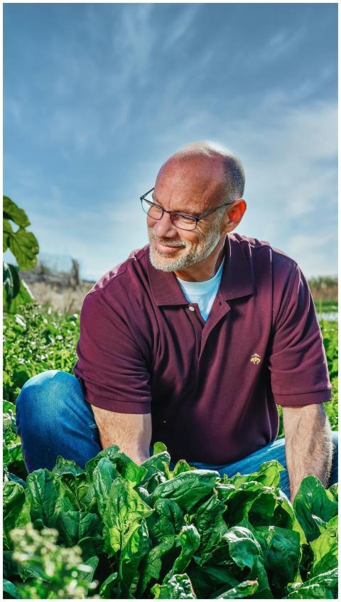Elderly man smiling while tending to organic spina