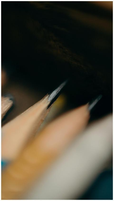 Close-up view of sharpened pencil tips arranged cl