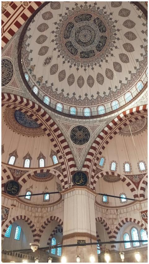 Captivating view of the ornate dome inside an Ista
