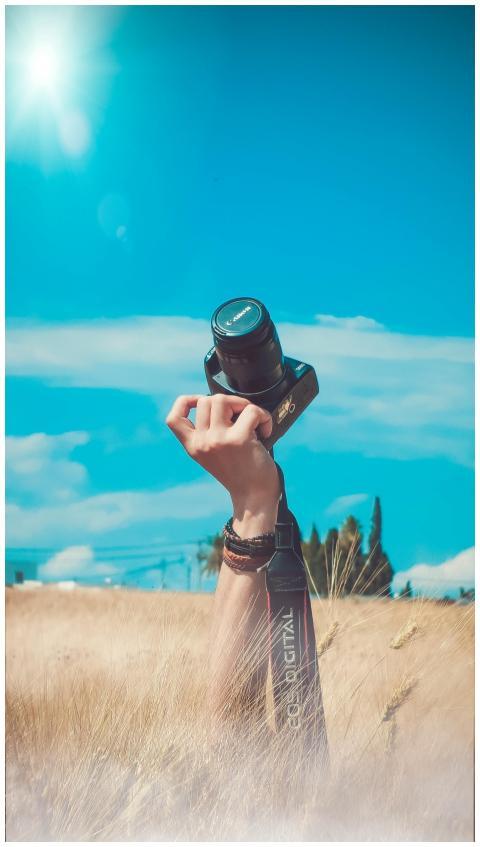 A hand raises a camera amidst a sunny field, evoki