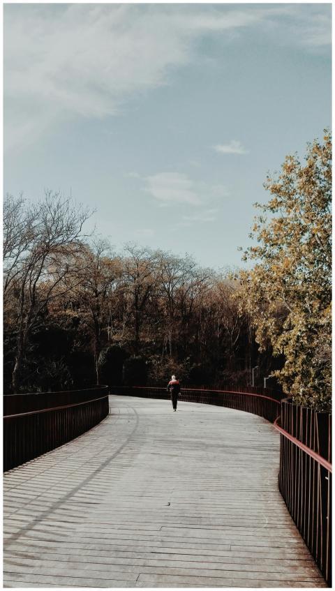 A solitary person walks on a wooden bridge in İsta