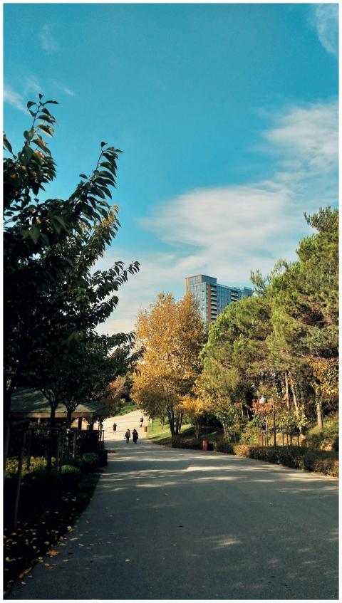 Peaceful autumn walkway in an Istanbul park with v