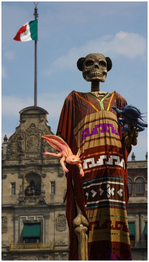 Decorative skeleton with axolotl during Dia de Mue