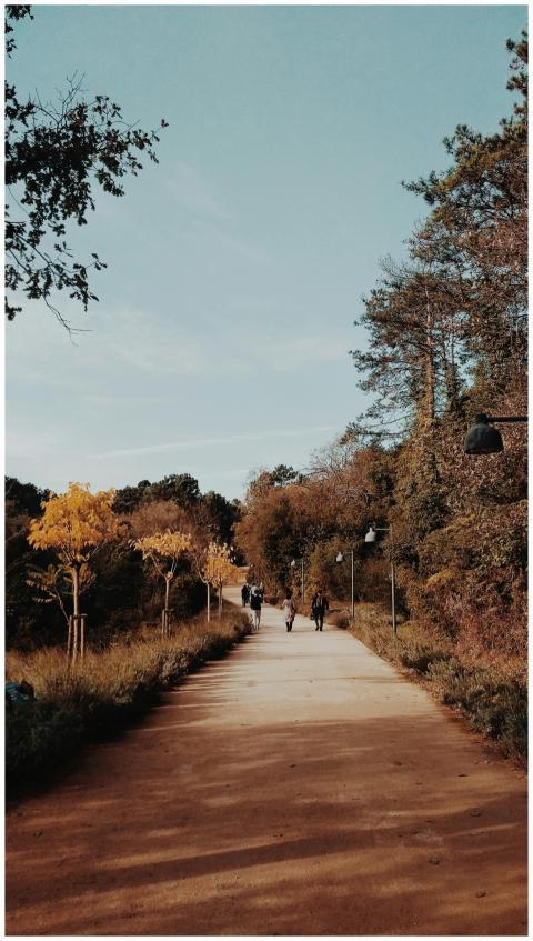 A serene autumn walkway in İstanbul park with peop
