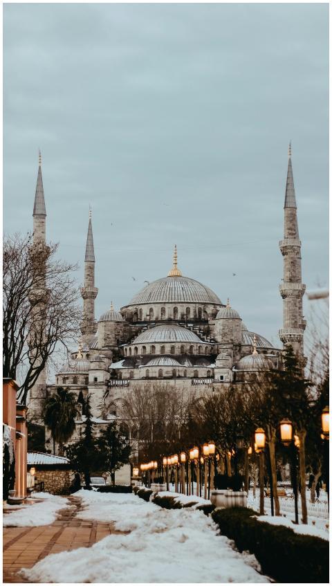 Sultan Ahmed Mosque exterior with towers against s