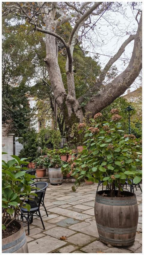 Charming Outdoor Cafe Volos
